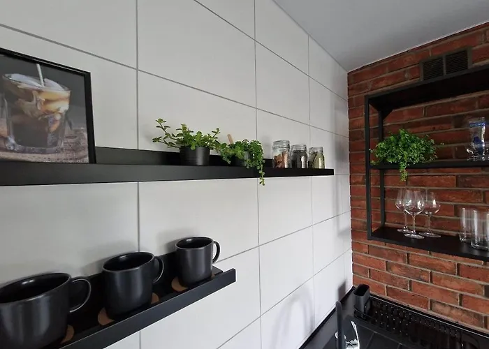 Haustory 克莱佩达